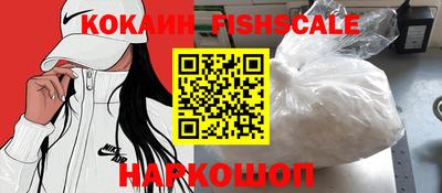 прущие крисы Камышлов