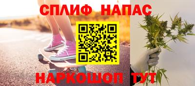спиды Канаш