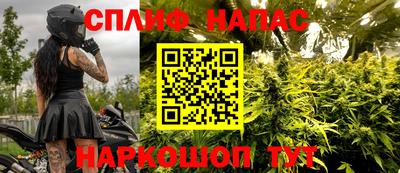 спиды Канаш