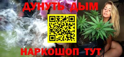 прущие крисы Камышлов