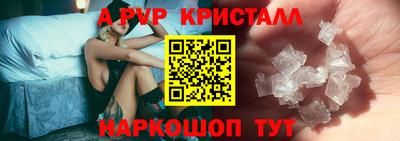 прущие крисы Камышлов