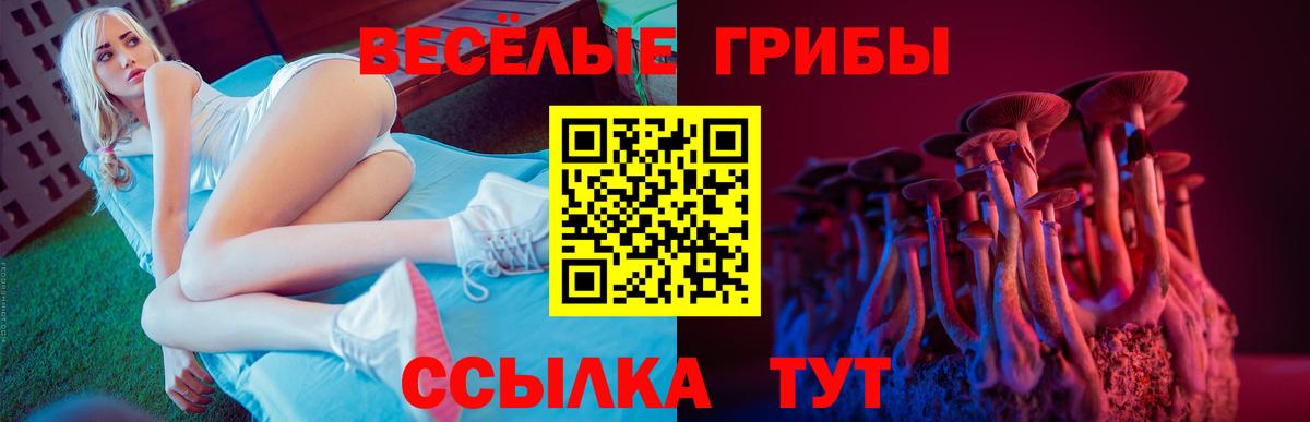 Галлюциногенные грибы ЛСД Красноармейск