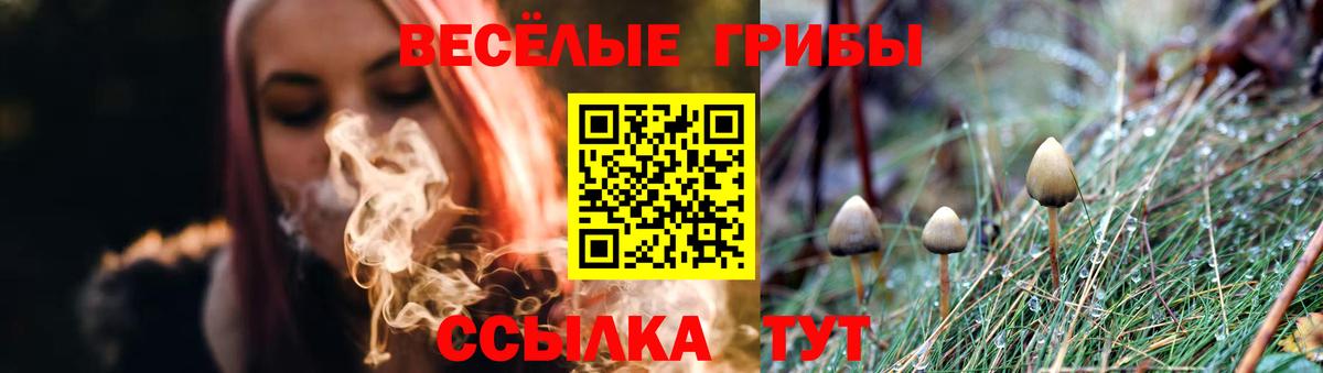 Красноармейск  Псилоцибиновые грибы GOLDEN TEACHER  Вход с VPN 
